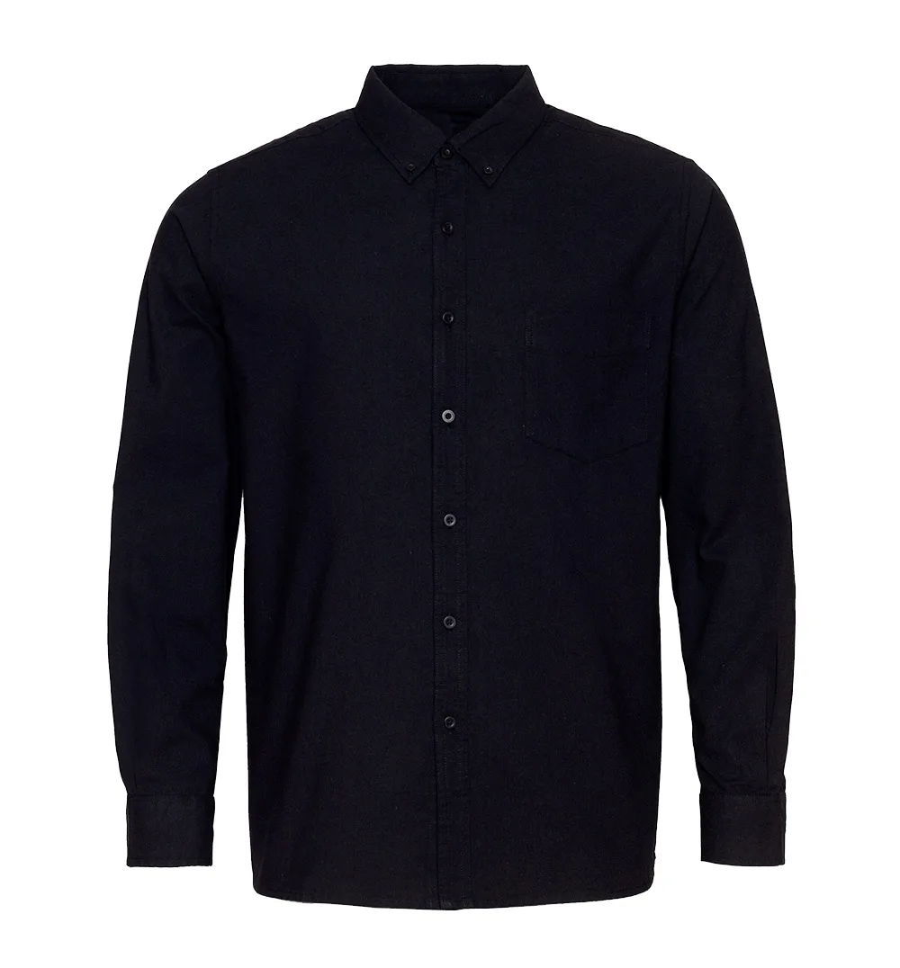 Button Down Shirt